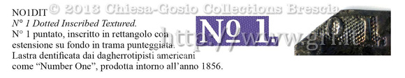 Thank you to Chiesa Gabriele for assisting with the plate ID.