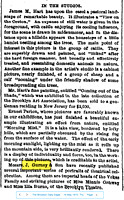 The Brooklyn Daily Eagle 16 May 1872