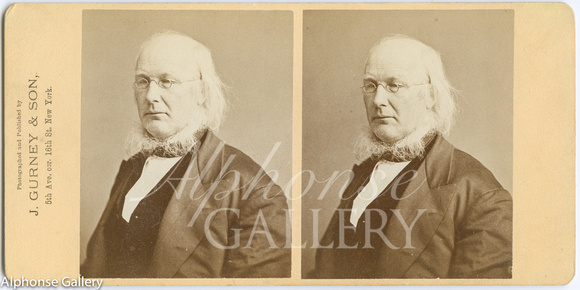 J Gurney & Son Stereoview of editor Horace Greeley 1811 - 1872